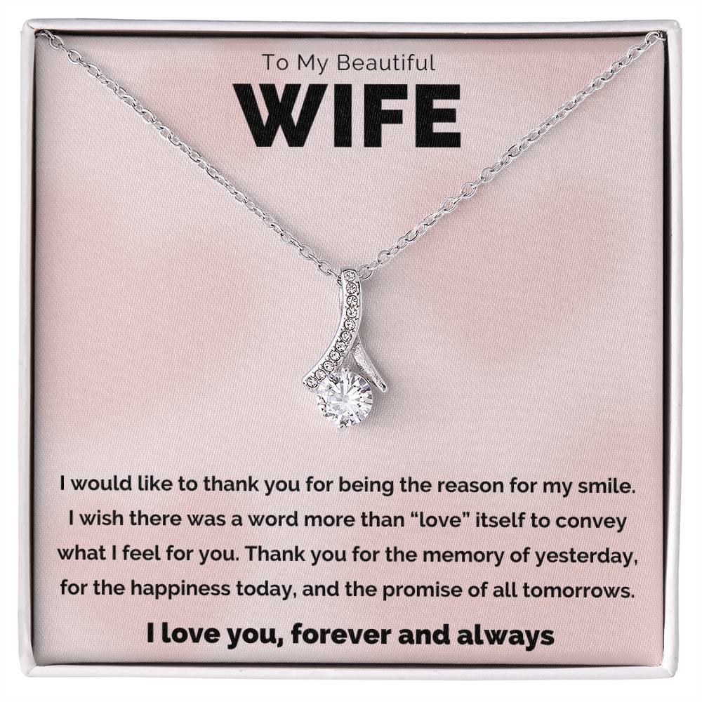 To My Beautiful Wife, The Reason Alluring Beauty Necklace