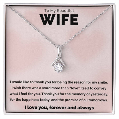 To My Beautiful Wife, The Reason Alluring Beauty Necklace