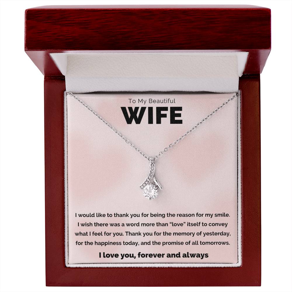 To My Beautiful Wife, The Reason Alluring Beauty Necklace