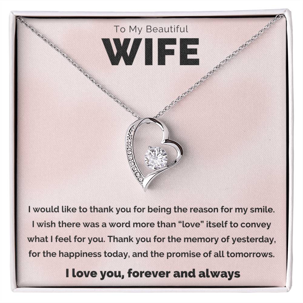 To My Beautiful Wife, The Reason Forever Love Necklace