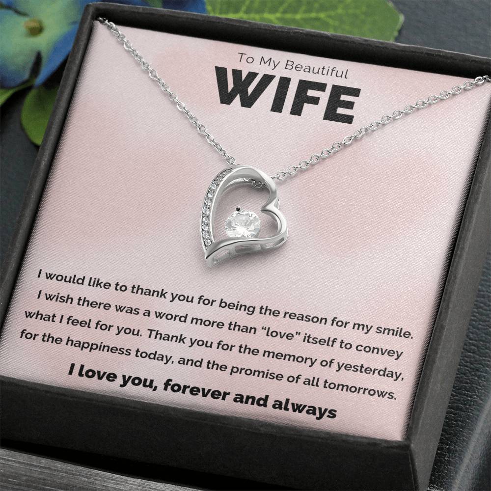 To My Beautiful Wife, The Reason Forever Love Necklace